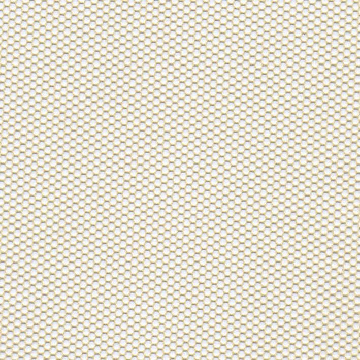 HT0037 var.18